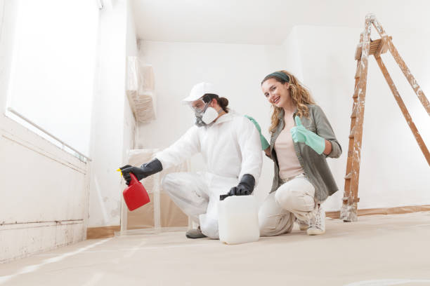 Biohazard Mold Removal in Lake Leann, MI